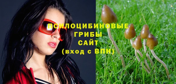 дмт Балахна