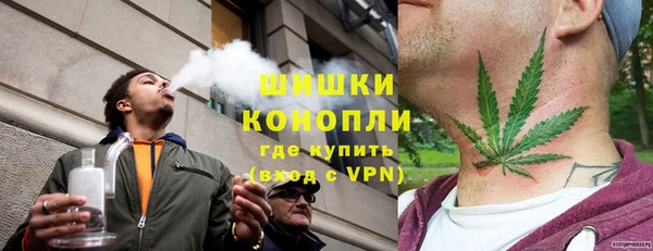 ГАЛЛЮЦИНОГЕННЫЕ ГРИБЫ Баксан