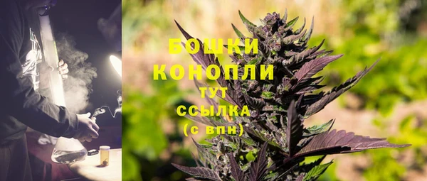 ГАЛЛЮЦИНОГЕННЫЕ ГРИБЫ Баксан
