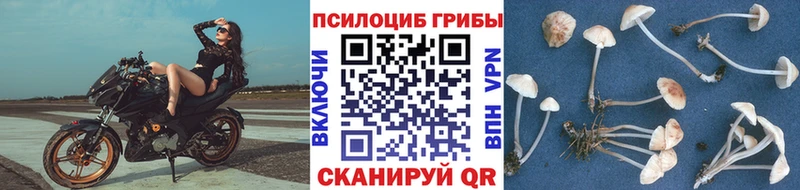 Галлюциногенные грибы ЛСД  omg tor  Шуя 