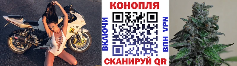 Марихуана MAZAR  где купить наркоту  Шуя 